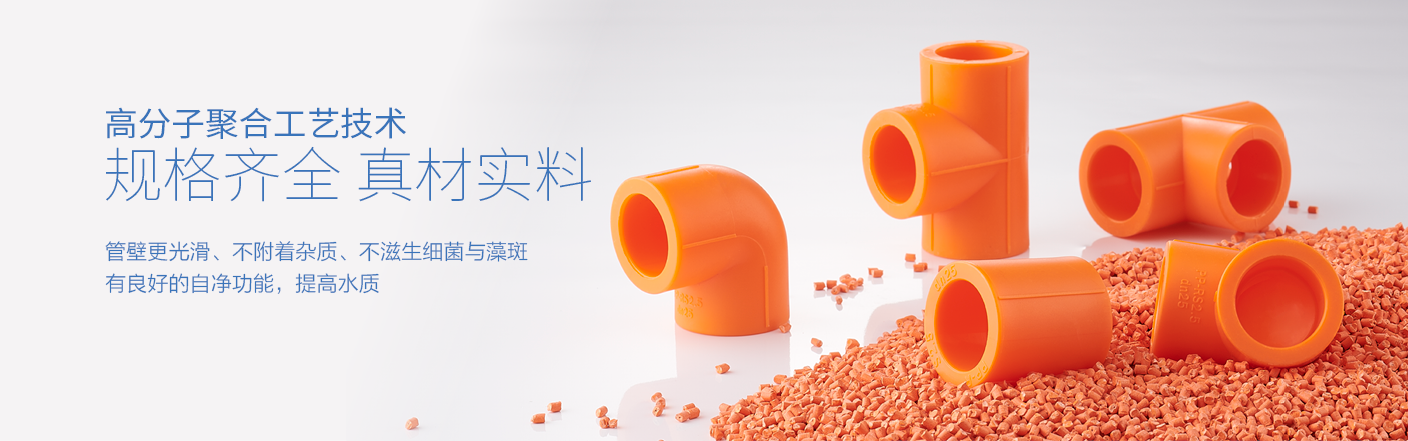 ppr管件-規(guī)格齊全